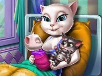 Kitten Nursery Daily Care