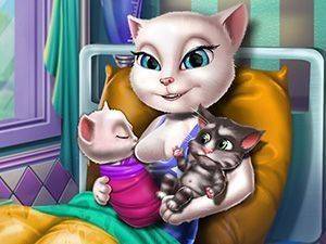 Kitten Nursery Daily Care