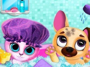 Playful Paws: Kitten & Puppy Daycare