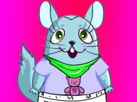 Chinchilla Style Adventure