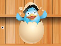 Duck Puzzle Challenge