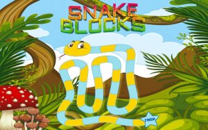 Snake Blocks Puzzle Game Online